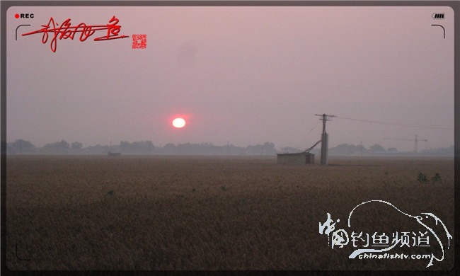 马踏湖国家湿地公园远足,马踏湖国家湿地公园游览路线