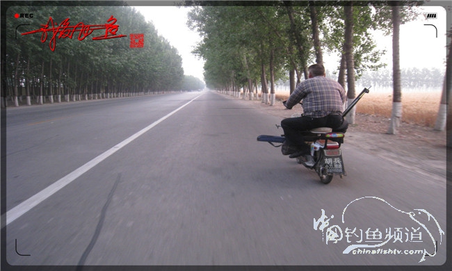 马踏湖国家湿地公园远足,马踏湖国家湿地公园游览路线