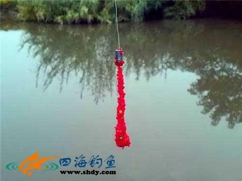手线钓法能钓什么鱼,民间手抛线钓鱼视频