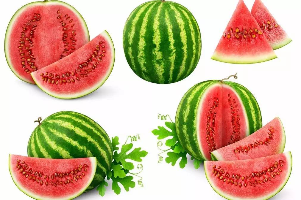 植物果实怎么分类,植物果实的分类