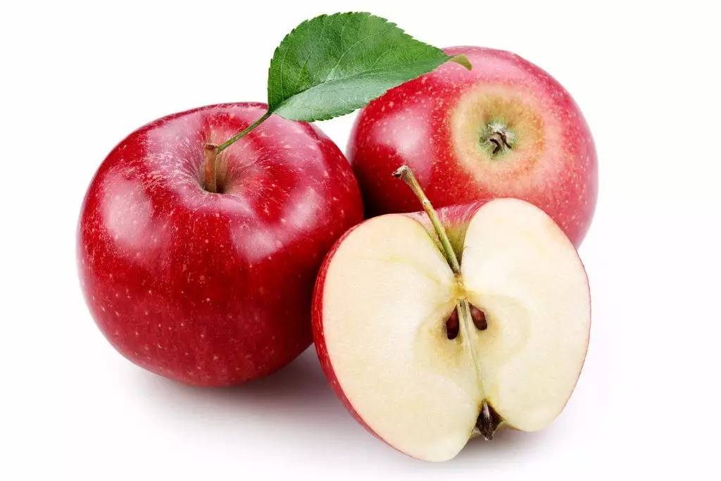 植物果实怎么分类,植物果实的分类