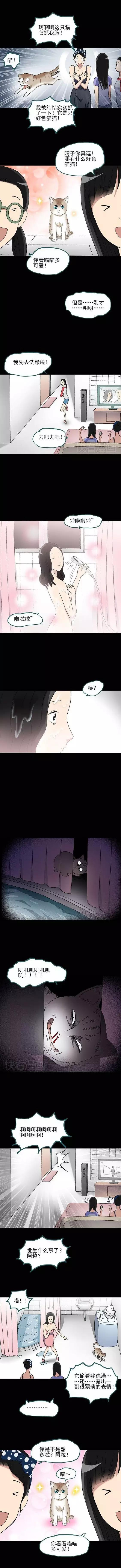 猎奇漫画《怪之猫》，一只搞笑又好色下流的猫