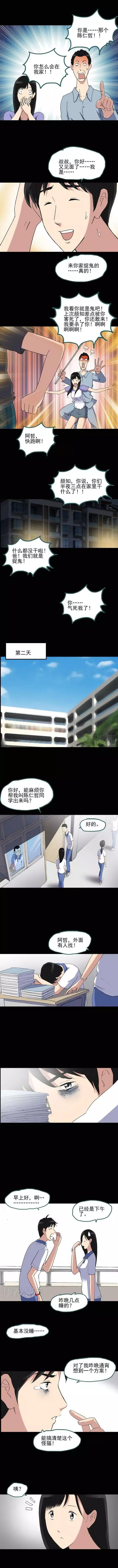 猎奇漫画《怪之猫》，一只搞笑又好色下流的猫