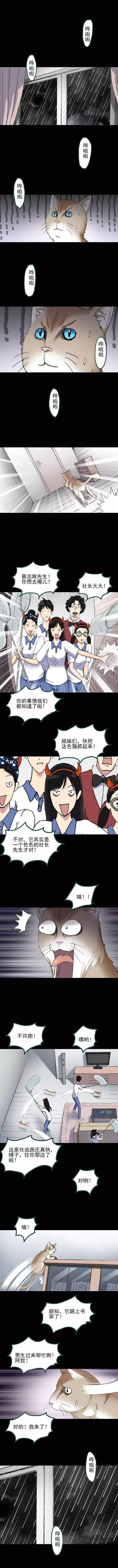 猎奇漫画《怪之猫》，一只搞笑又好色下流的猫