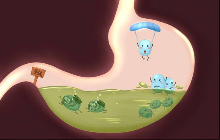 宠佑家:与众不同才是它最大的优势--灭活乳酸菌制剂