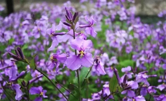 吃完这100种美食、看过这100种风景,可能再也离不开太仓!