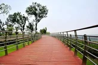 吃完这100种美食、看过这100种风景,可能再也离不开太仓!