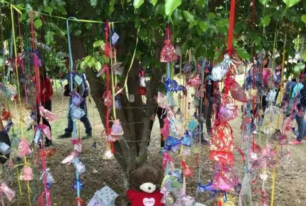 美术生考广东工业大学难吗,为什么这么多人支持广东工业大学