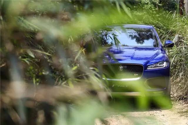 新款捷豹f-pace顶配试驾,捷豹f-pace试驾第一视角