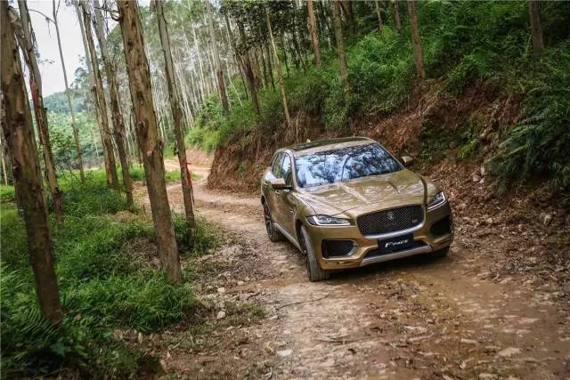 新款捷豹f-pace顶配试驾,捷豹f-pace试驾第一视角