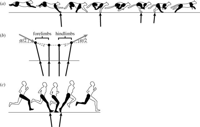 天啊！这还是我认识的物理吗！揭秘B王坂本如何气死牛顿！