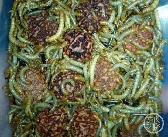 老婆和妈掉水里先救谁正确答案,媳妇和孩子掉水里先救谁最佳答案