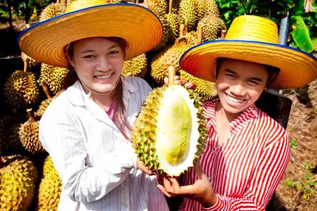 泰国，你凭什么成为全球最幸福的国家？