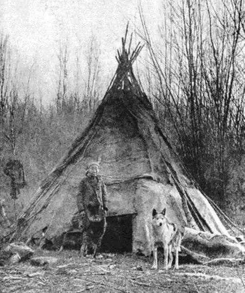 尊重狗,就让它像狗一样的生活!