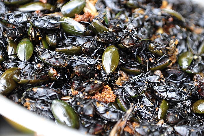 柬埔寨浙江台州小吃 (柬埔寨街边小吃摊位)