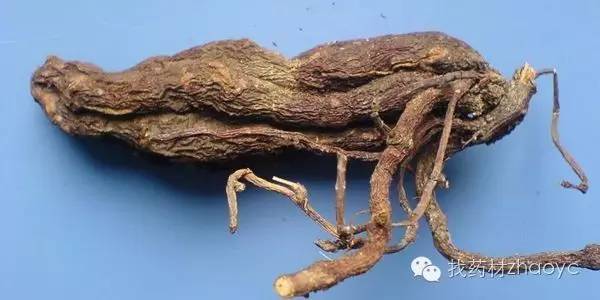 中医美白护肤中药配方,内服美白中药配方功效