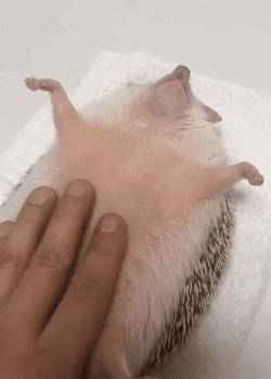 玻璃钢,玻璃和钢的爱恋