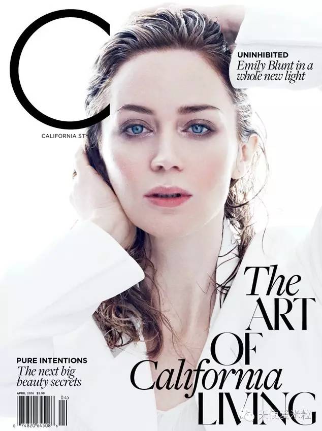 穿prada女王想告诉我们什么,穿prada的恶魔解说完整