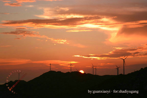 别让水印成为尴尬-摄影早自习第84日