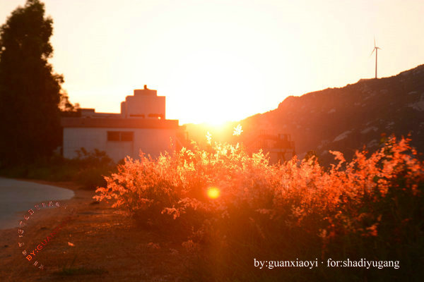 别让水印成为尴尬-摄影早自习第84日