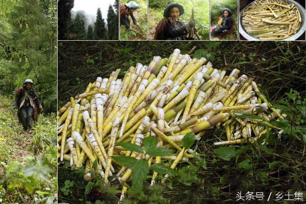 干货分享如何成为赚钱高手,做生鲜电商一年赚多少