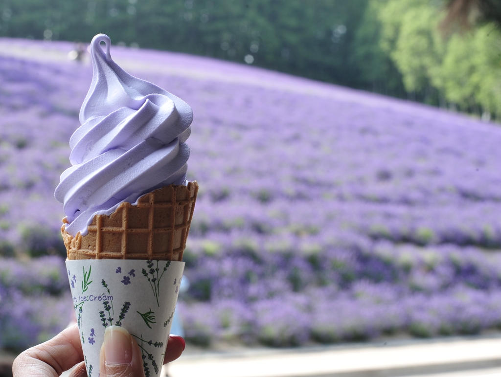 去日本买进口马桶盖,去日本买马桶盖