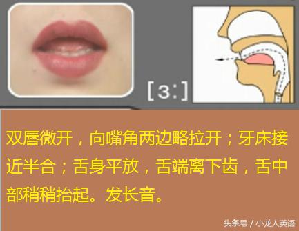 全网最快学习音标,零基础自学音乐音标