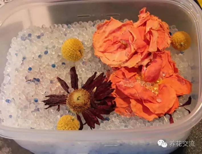 干花制作后怎么用,玫瑰干花怎么做成手工永久保存
