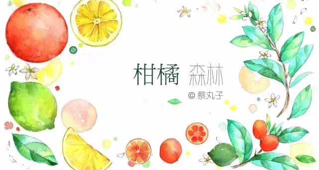 种一盆香水熏衣草，然后把它变成花糖和饼干！