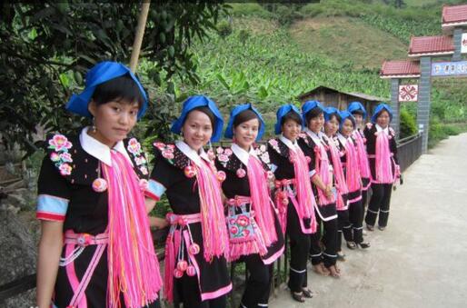 红河州少数民族最多的县市,红河州的少数民族有哪些