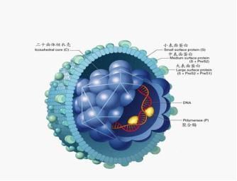 什么病需要一直吃药还影响生育,天生无法生育能治愈吗