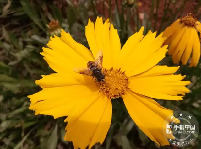 魅蓝3s是最好的一款吗,魅蓝3s100多块钱的怎么样