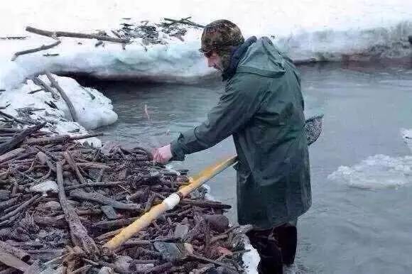 真正的蜜蜡是啥样的,蜜蜡这种东西你真的懂吗