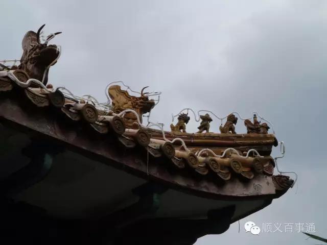 北京市顺义公园,从小就爱上你