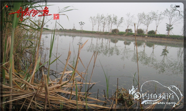 马踏湖国家湿地公园远足,马踏湖国家湿地公园游览路线