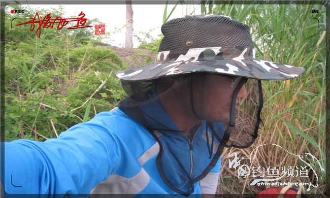 马踏湖国家湿地公园远足,马踏湖国家湿地公园游览路线