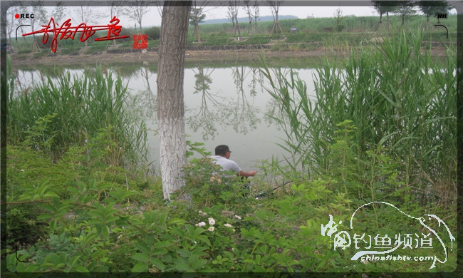 马踏湖国家湿地公园远足,马踏湖国家湿地公园游览路线