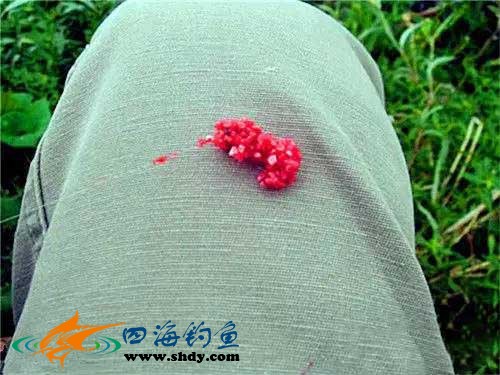 手线钓法能钓什么鱼,民间手抛线钓鱼视频