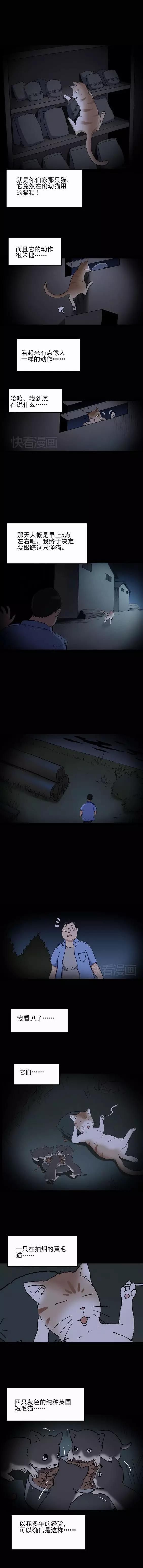 猎奇漫画《怪之猫》，一只搞笑又好色下流的猫