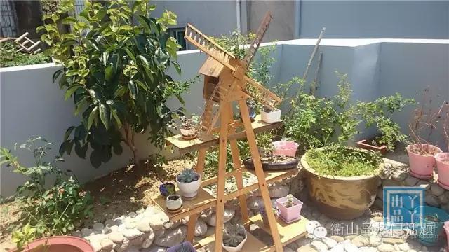 世界那么大我只想去衢山岛看看!