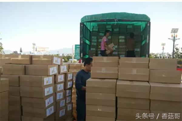 猕猴桃一般是从哪里进来的,你知道猕猴桃是哪来的吗