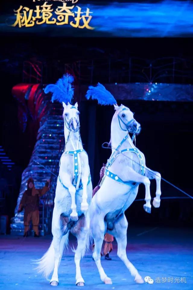 海洋主题酒店攻略,长隆海洋王国马戏酒店自助餐