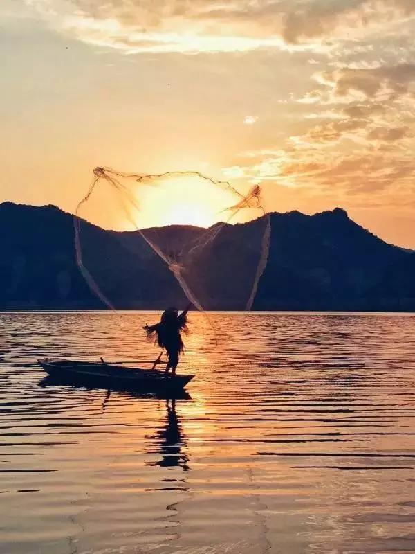 点赞他们的高光时刻,大家用手机拍出过什么好看的照片