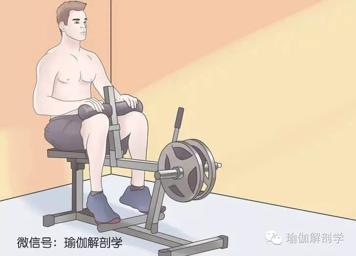 不能下地的怎么锻炼小腿,你的小腿怎么练