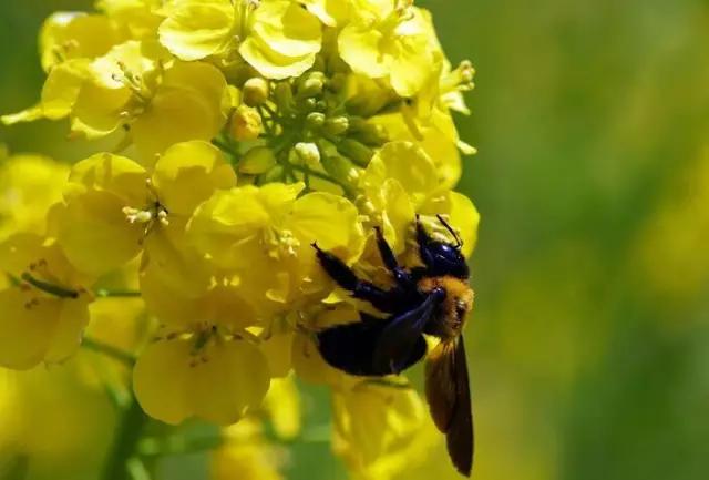 吃完这100种美食、看过这100种风景,可能再也离不开太仓!