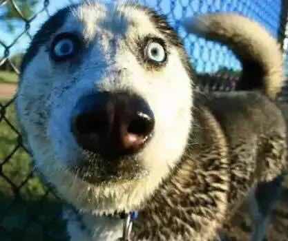 五道晚餐家常菜清淡可口低脂少油,五道美食家常菜