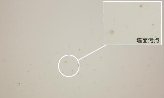 白墙上蚊子血渍怎么去除,黑斑蚊有什么办法驱除
