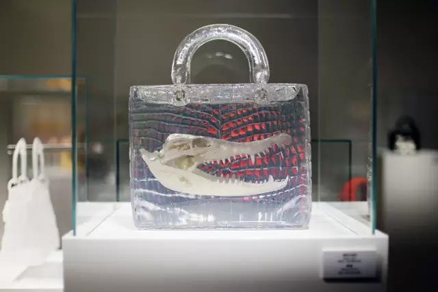 去迪奥专柜是什么体验,迪奥专柜体验