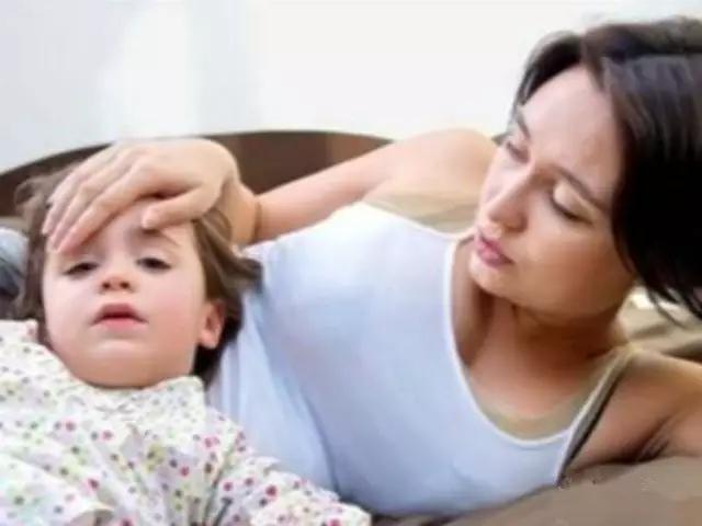 哈丁宝贝育儿直播,哈丁宝贝婴儿怎么样