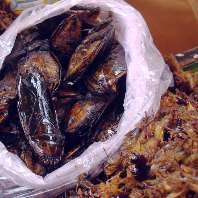 柬埔寨浙江台州小吃 (柬埔寨街边小吃摊位)